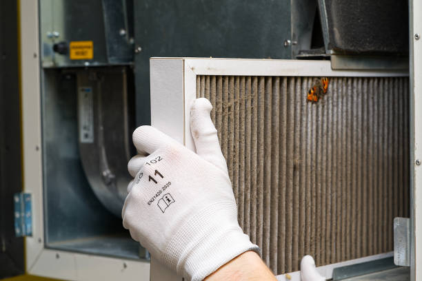 Best Local Air Duct Cleaning Services  in Eglin Af, FL