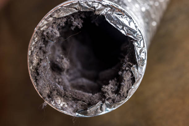 Air Duct Mold Removal in Eglin Af, FL